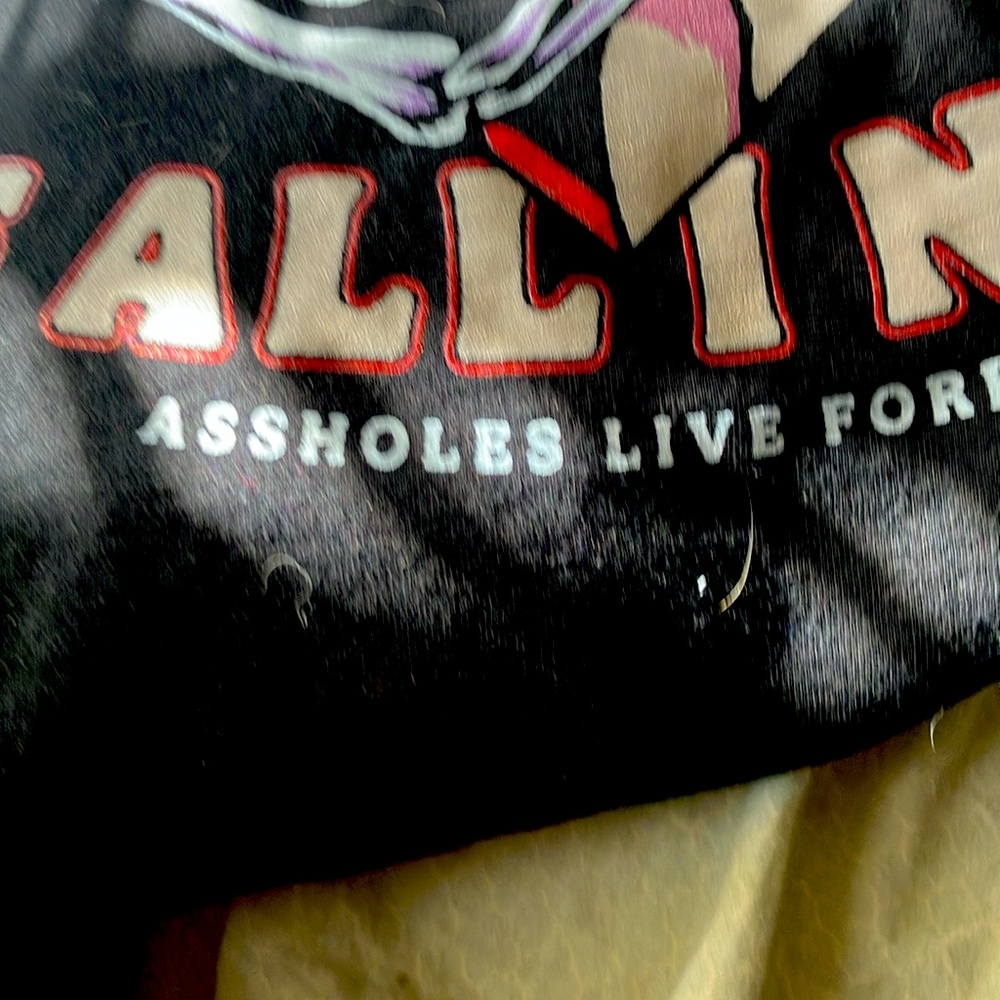 Asswholes live forever hoodie